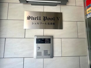 Shell  Pool  Ⅴの物件外観写真
